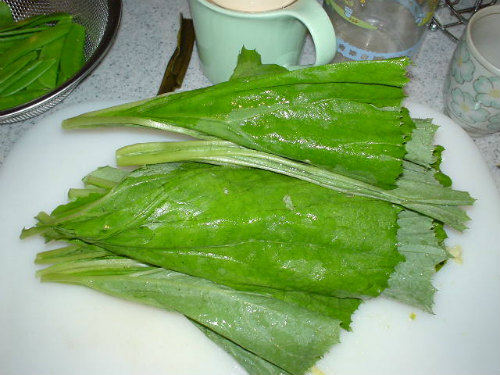炵