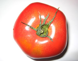ӌ