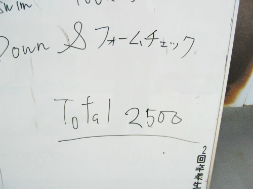LpX̐j